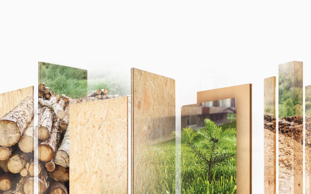Nachhaltig mehr aus Holz bauen